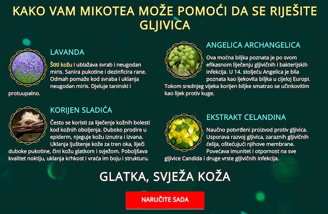 mikotea-sastav