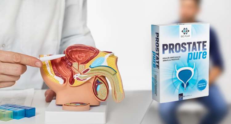 prostate pure sastav